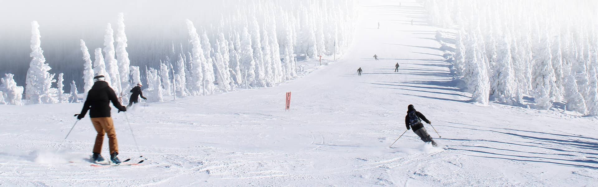 Idaho Flights