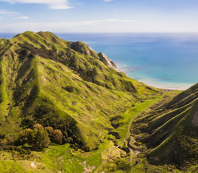 Gisborne