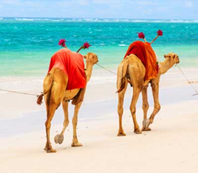 Mombasa